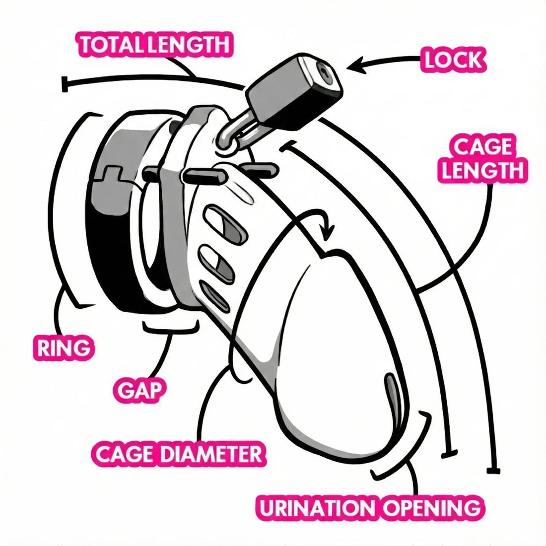 Chastity cage diagram showing labeled parts including base ring, lock, cage length, gap, cage diameter, and urination opening