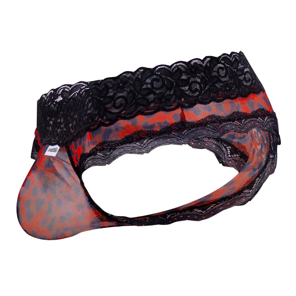 Men's mesh-and-lace thong with animal-print accents.