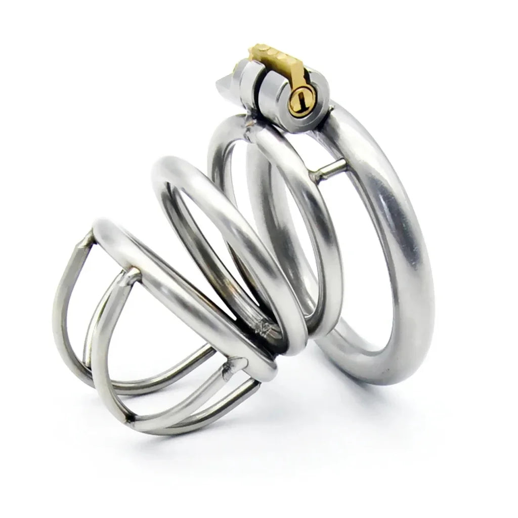 Large silver-tone Metal Chastity Cage with curved open rails, a round base ring and a gold-tone barrel lock.
